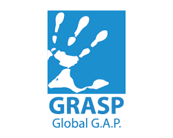 GRASP